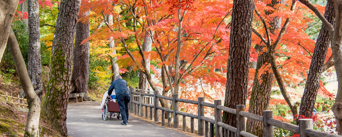 バリアフリー旅行